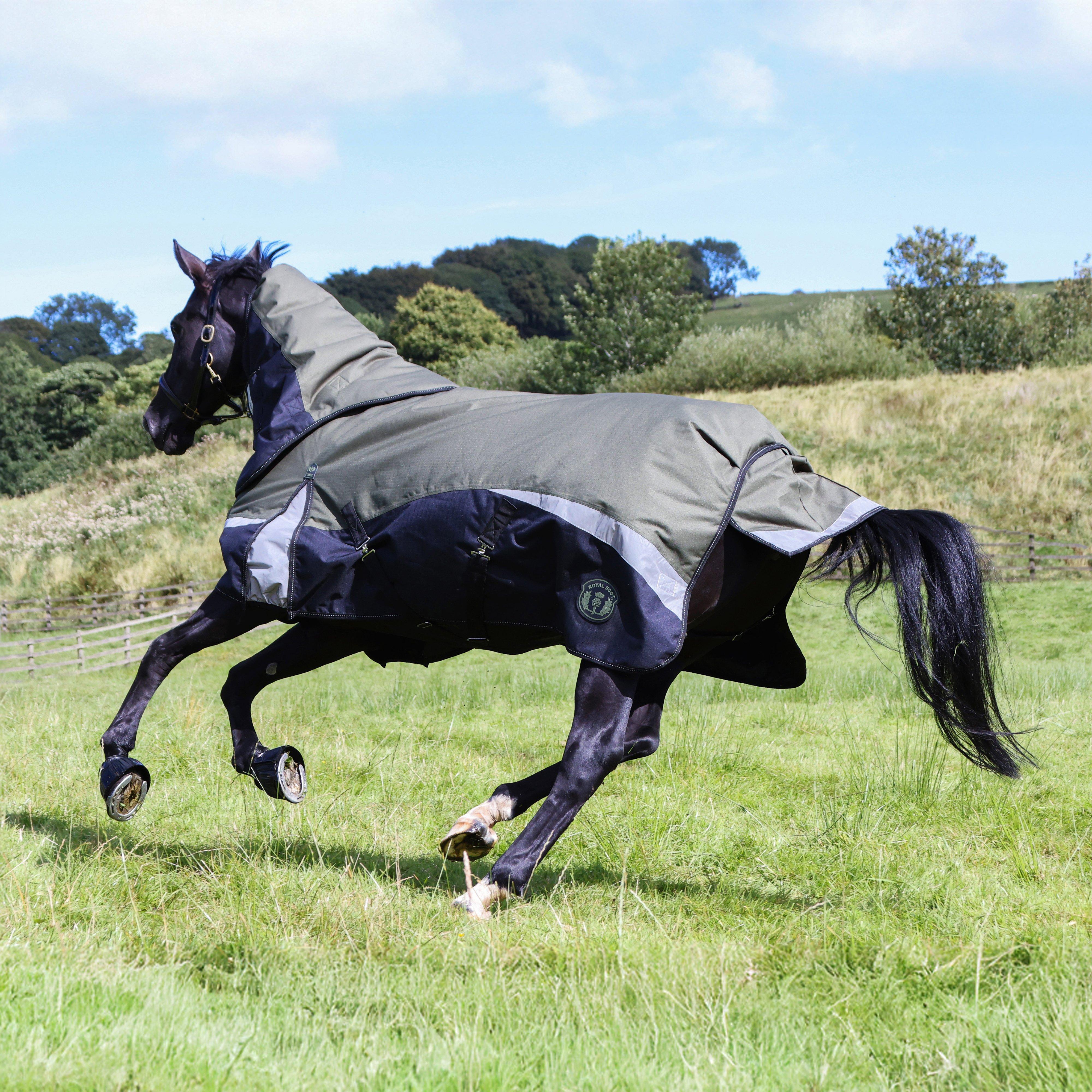 Pro 200g Turnout Rug