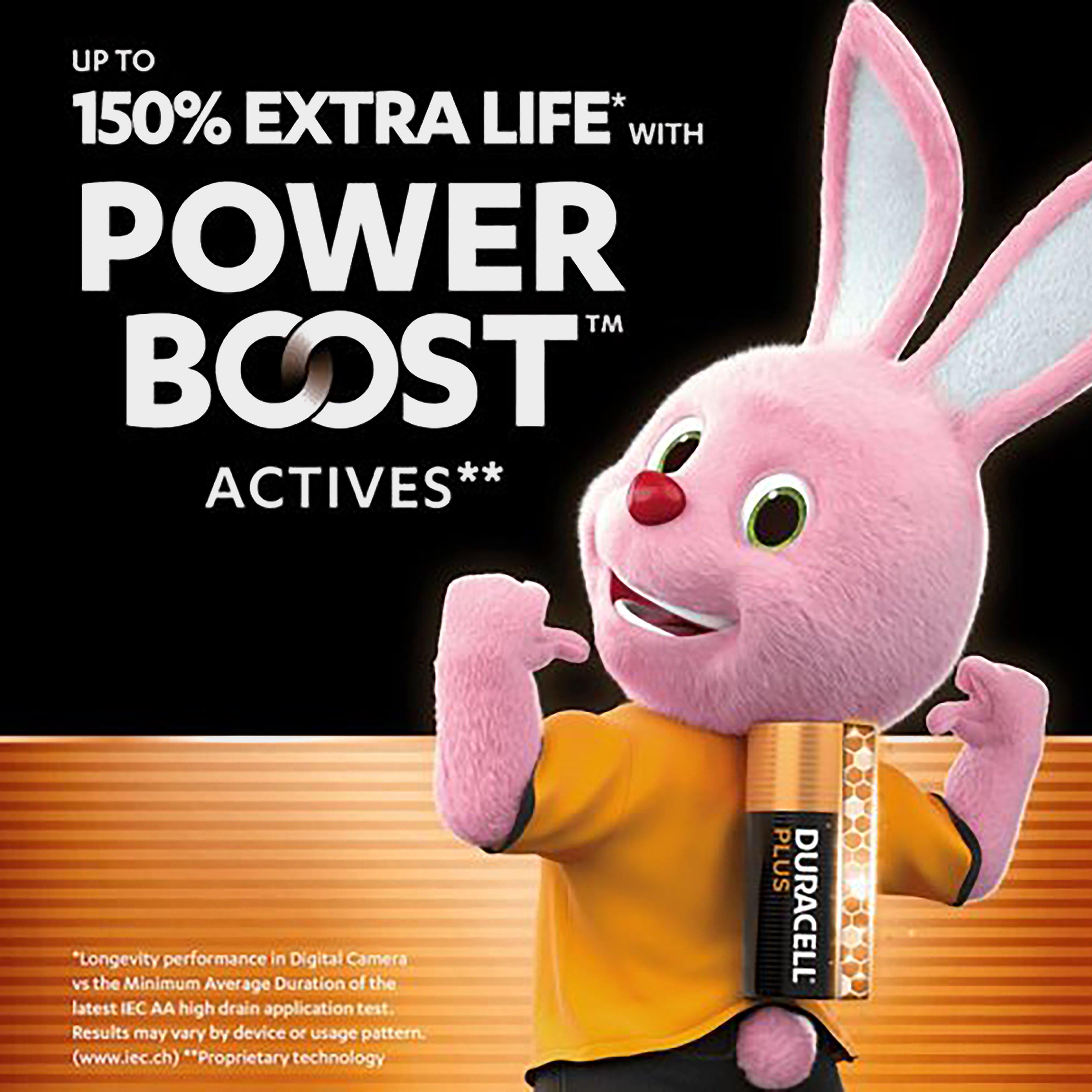 Plus AA Boost Batteries 10 Pack