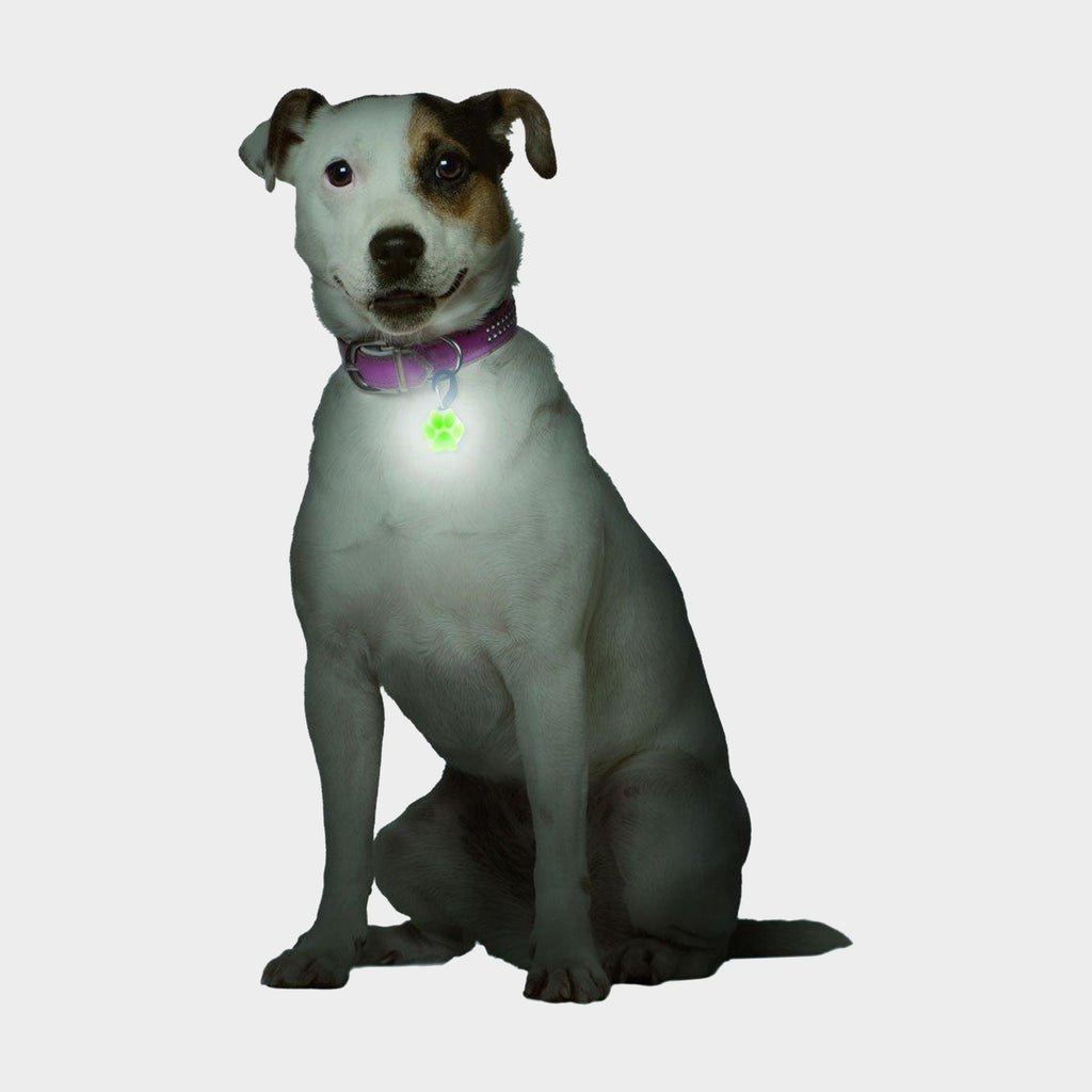 Petlit LED Collar Light (Lime Paw)