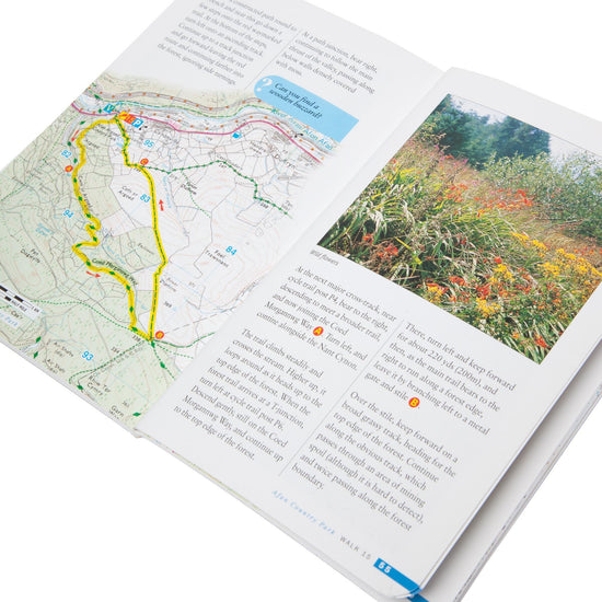Around Cardiff Walks Guide