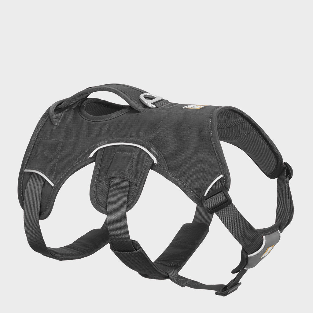 Webmaster™ Harness
