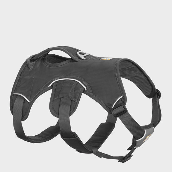 Webmaster™ Harness