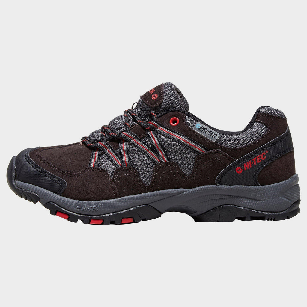 Men's Dexter Walking Shoe