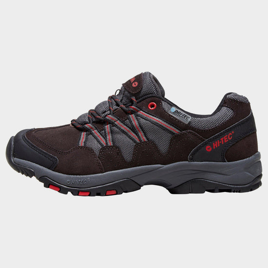 Men's Dexter Walking Shoe