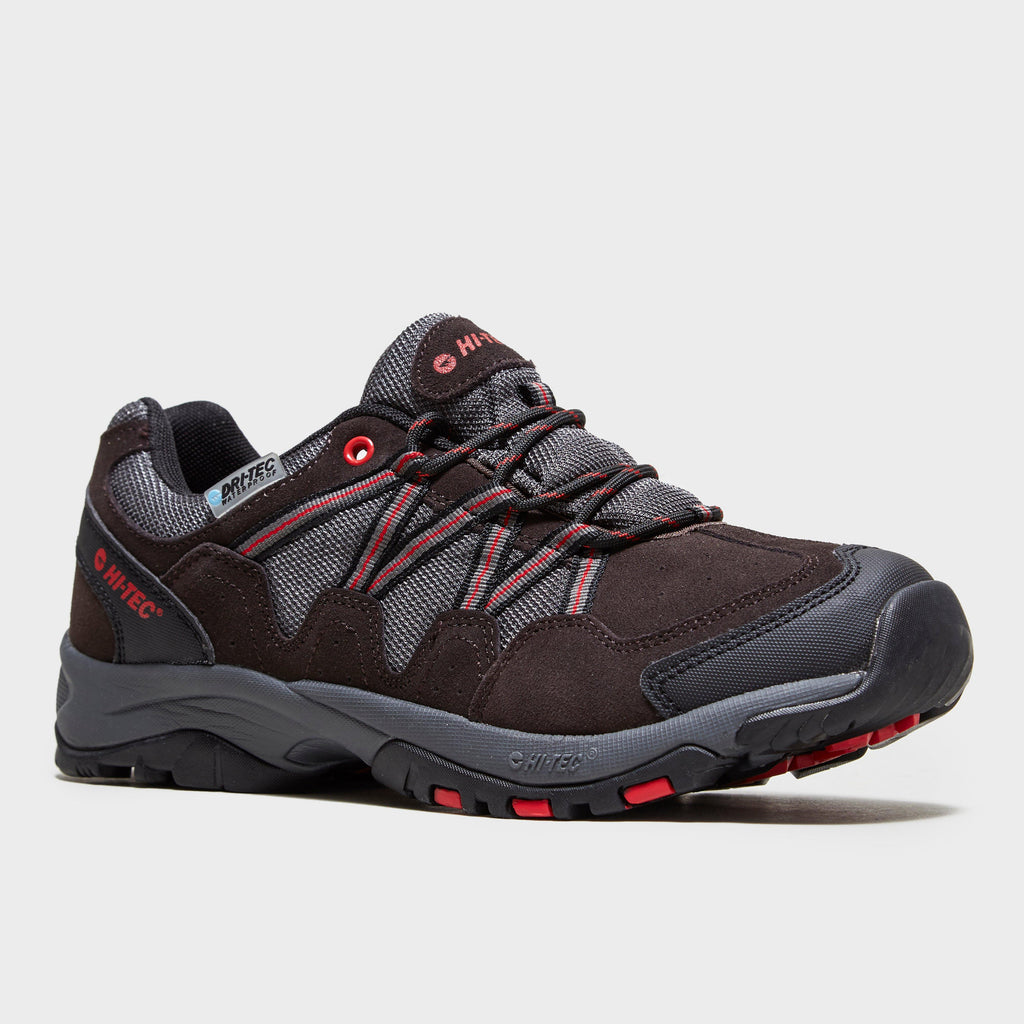 Men's Dexter Walking Shoe