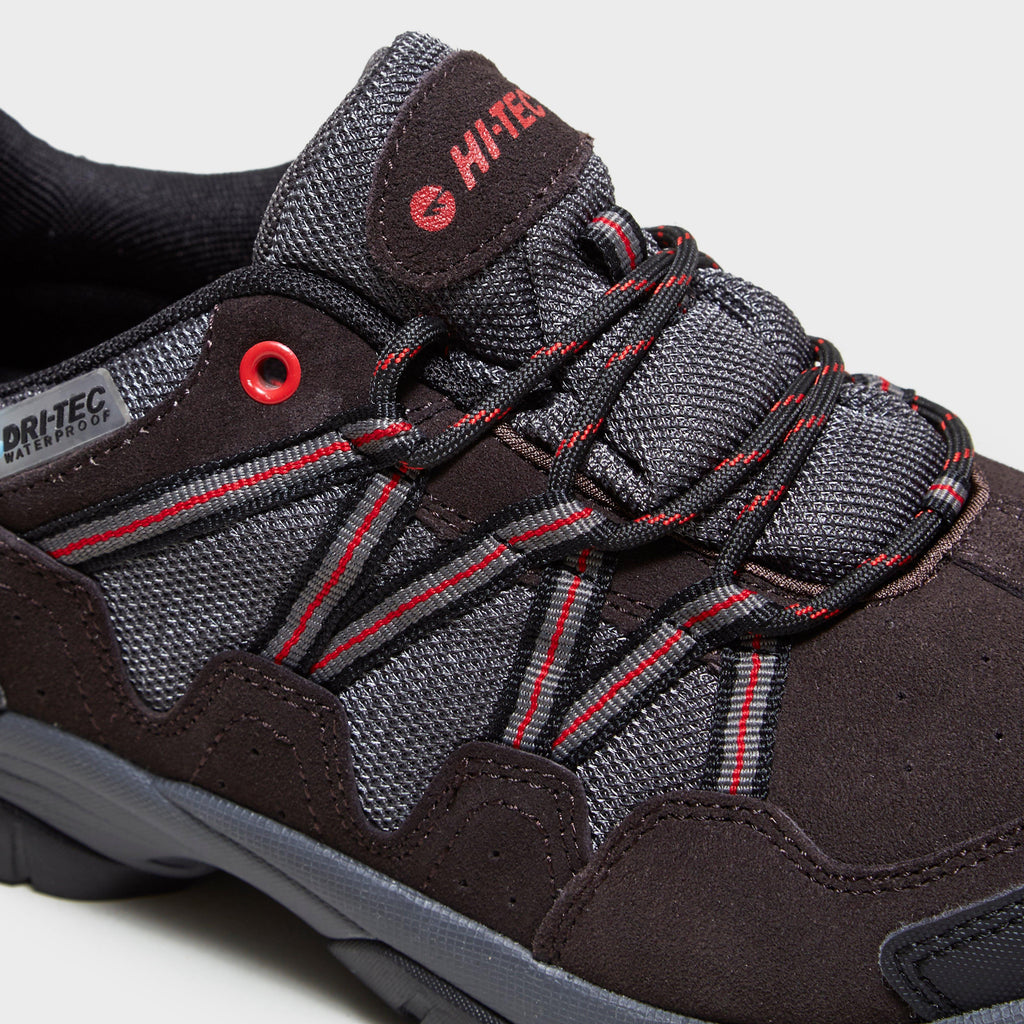 Men's Dexter Walking Shoe