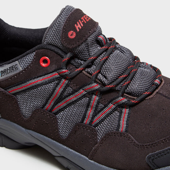 Men's Dexter Walking Shoe
