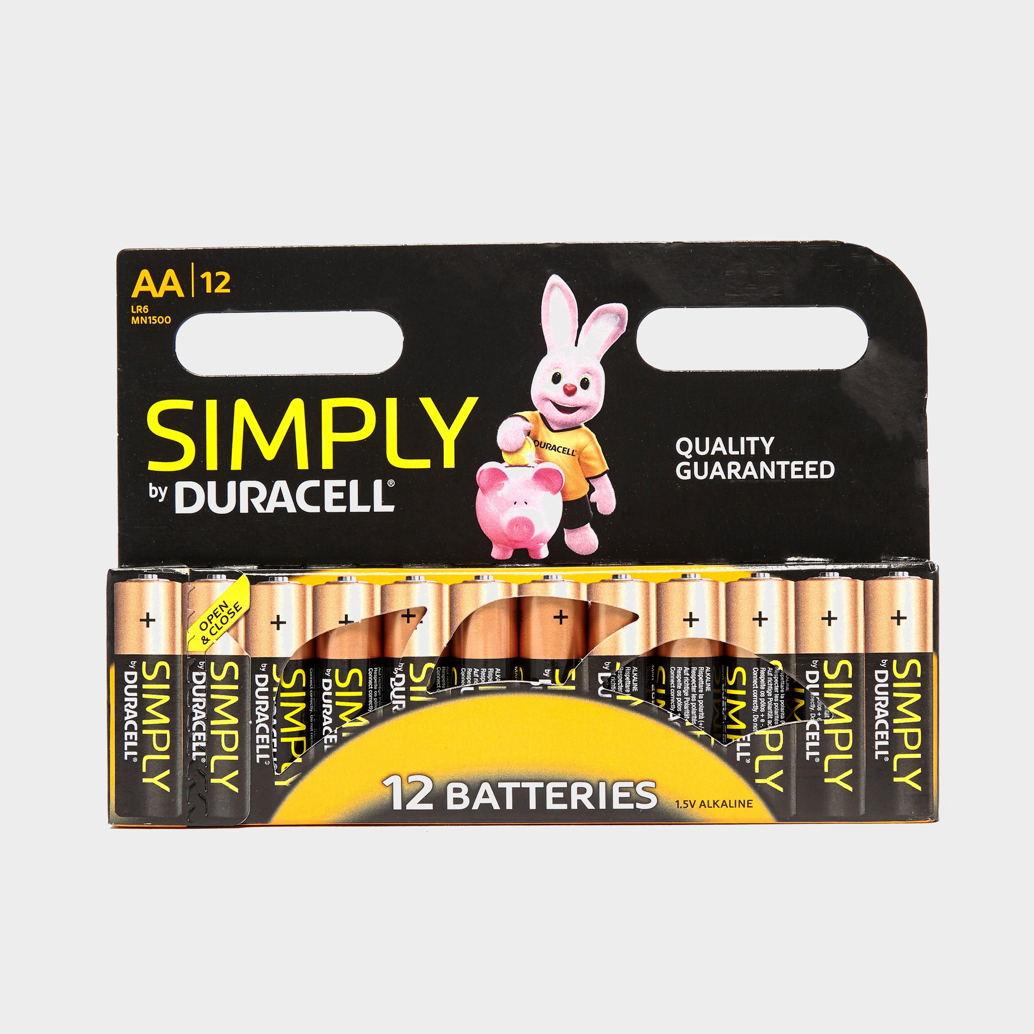 AA Batteries - 12 Pack