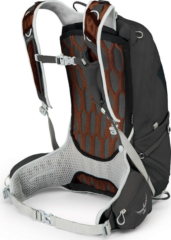 Talon 22 Daypack