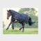 Tempest Original 100 Combo Turnout Rug