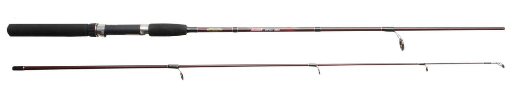 EPV2 Spin Rod, 10ft, 30-80g