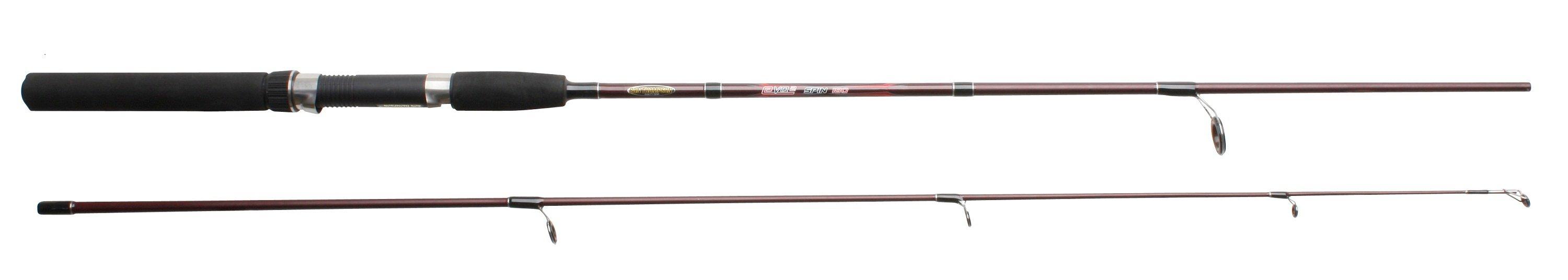 EPV2 Spin Rod, 10ft, 30-80g