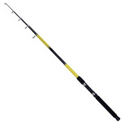 Beta Telescopic Rod (8ft)