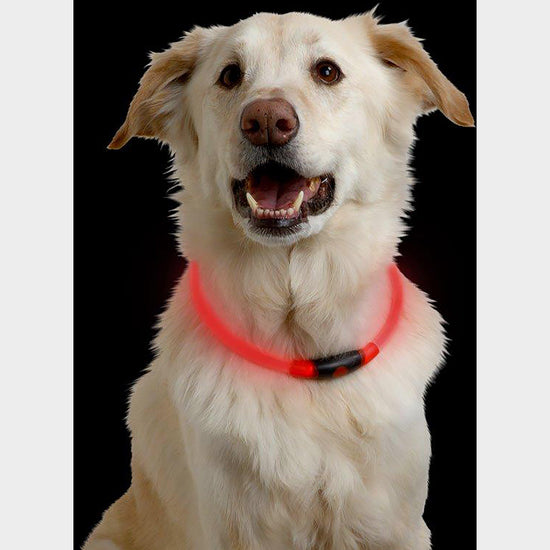 NiteHowl LED Safety Necklace