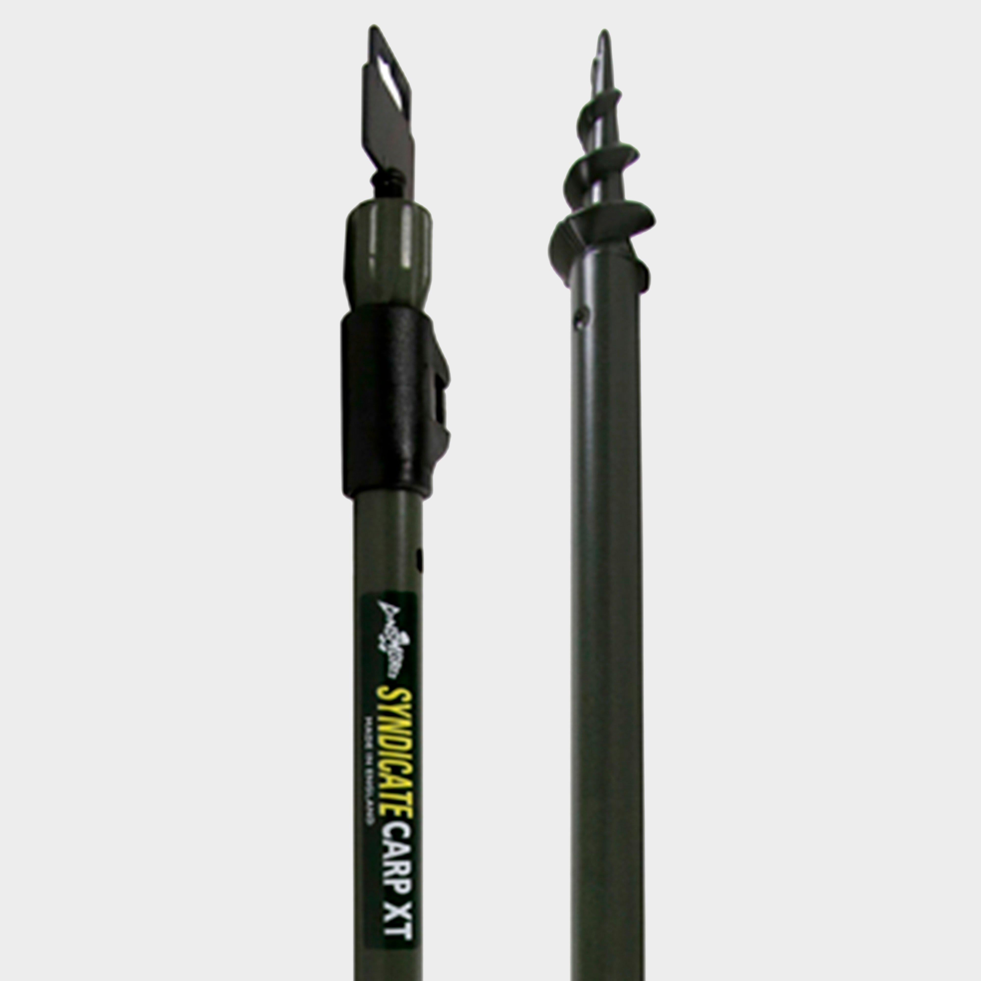 Carp Stick Spiral Point 48in