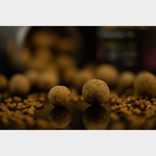Manilla Tuff Ones 16mm