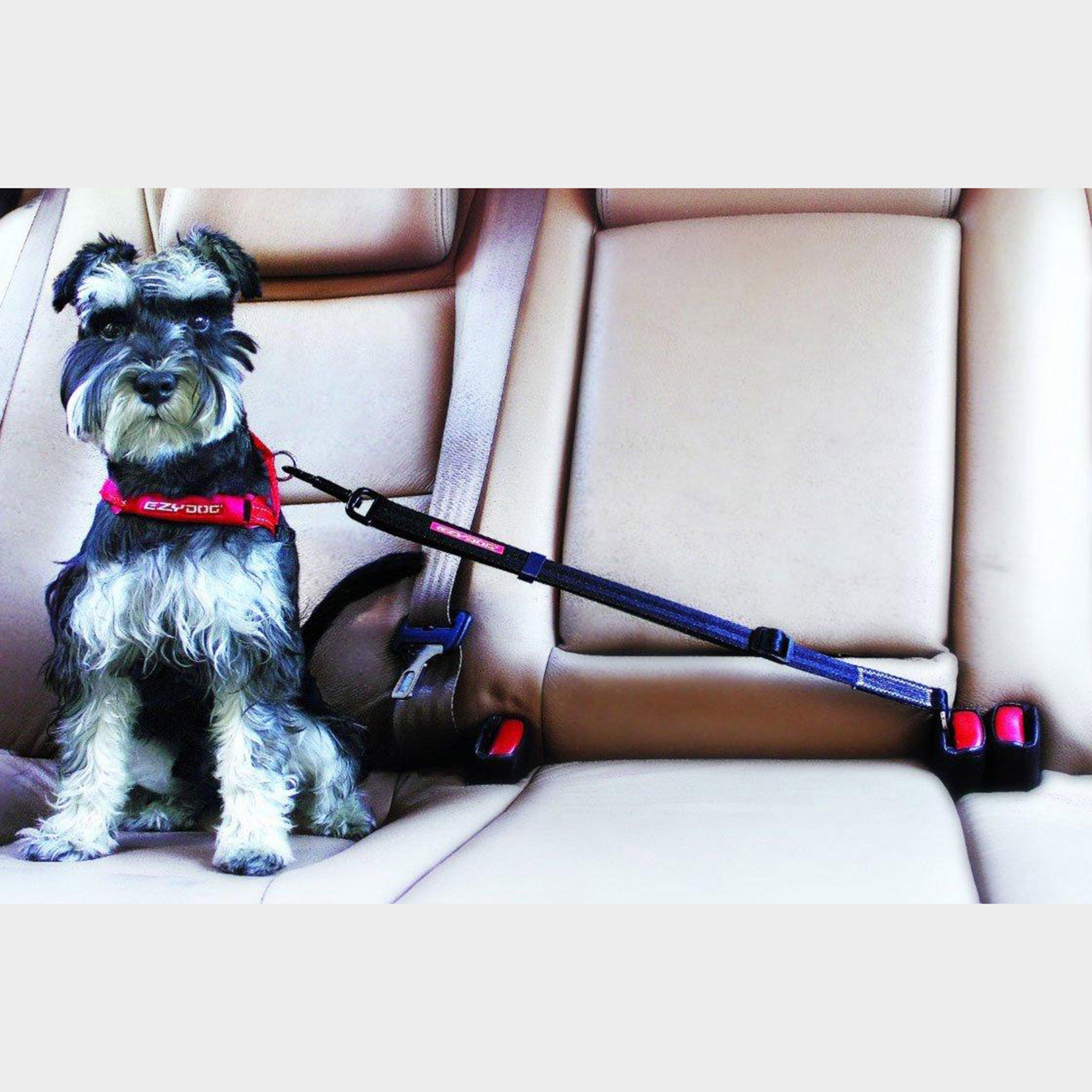 'Click' Adjustable Car Restraint