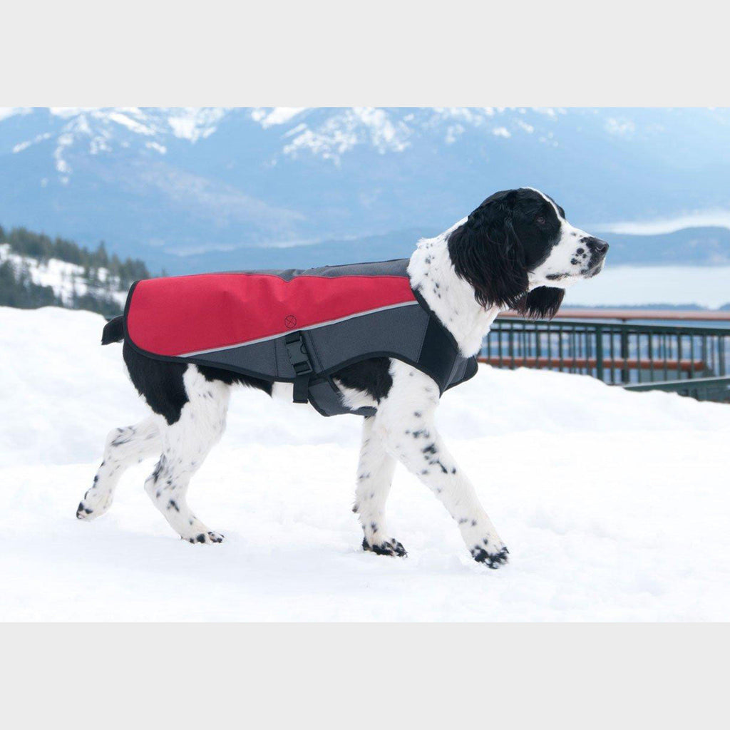 Element Dog Jacket (Small)