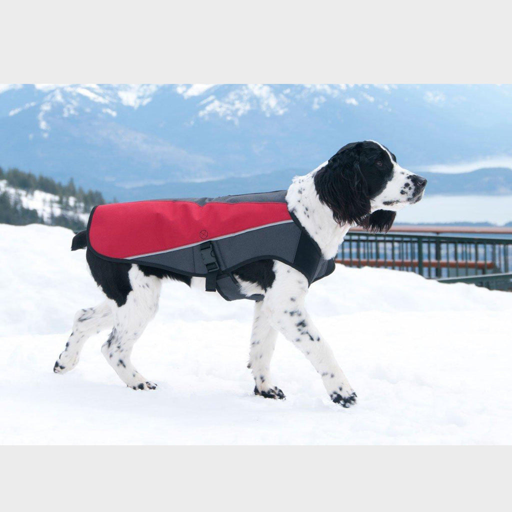 Element Dog Jacket (Large)