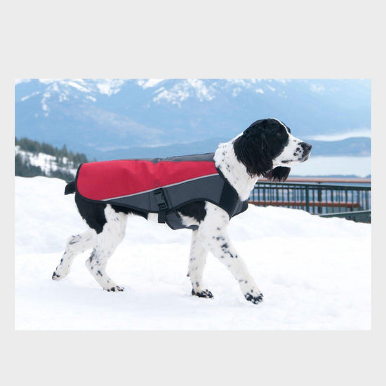 Element Dog Jacket (XL)