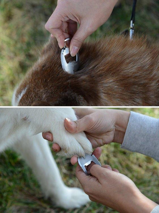 Doohickey Pet Tool