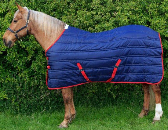 Thomas Stable Rug