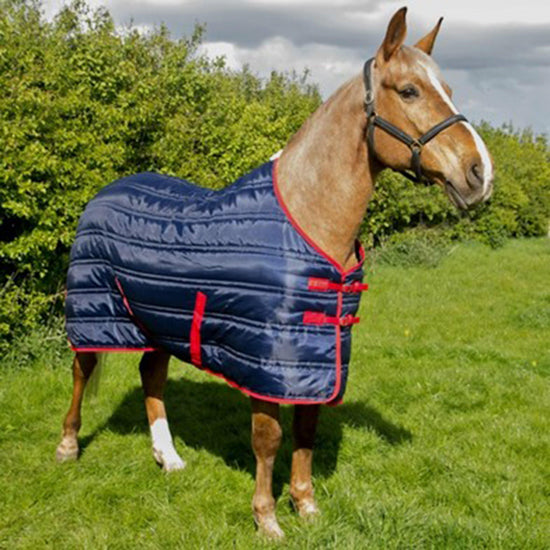 Thomas Stable Rug