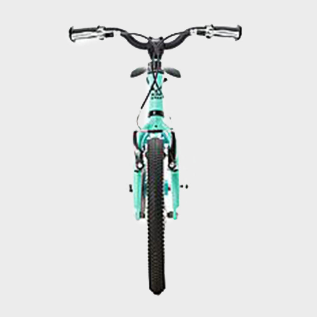 Wild 16 Kids' Bike