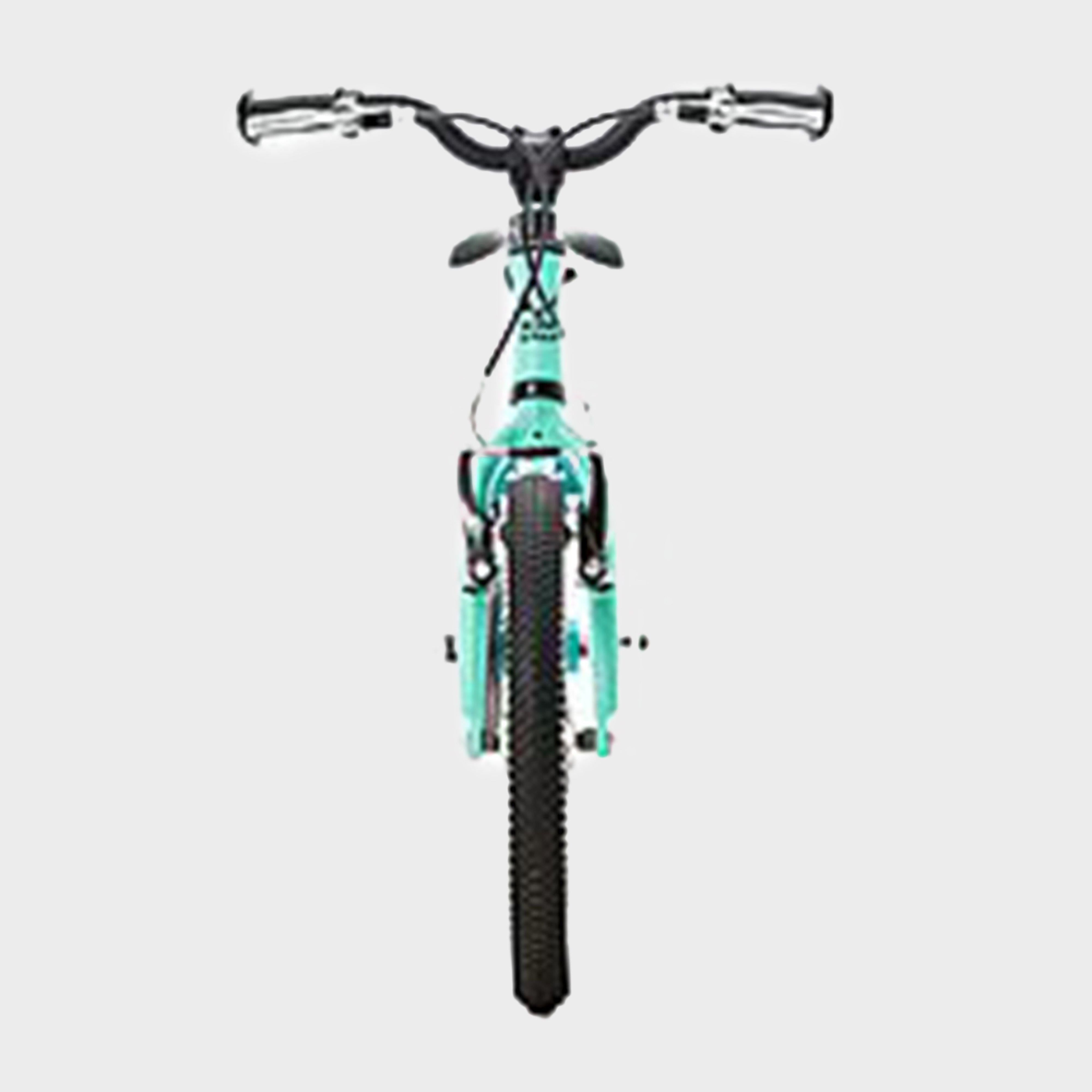 Wild 16 Kids' Bike