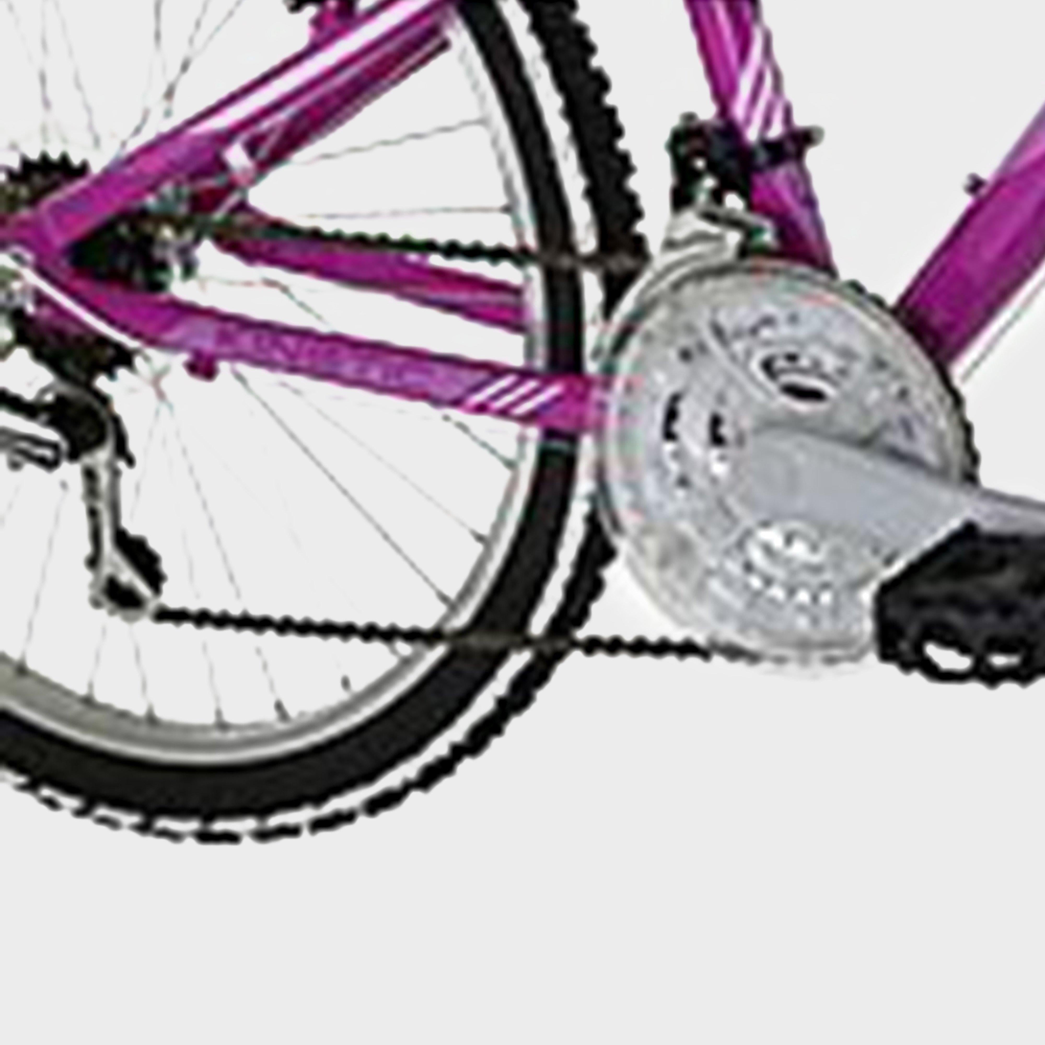 Kinetic 24" Kids' Mountain Bike