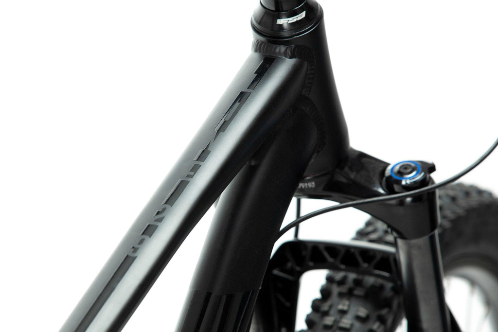 Line 29 Mountain Bike