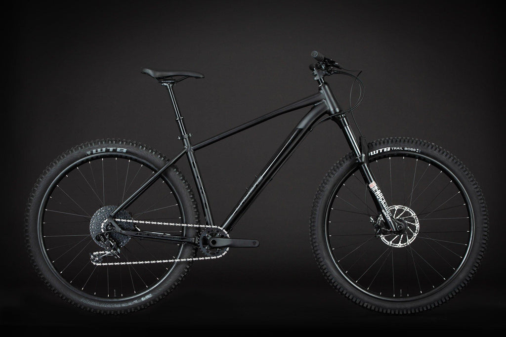 Line 29 Mountain Bike