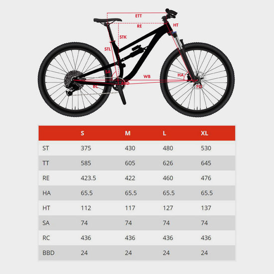 Triple B Mountain Bike