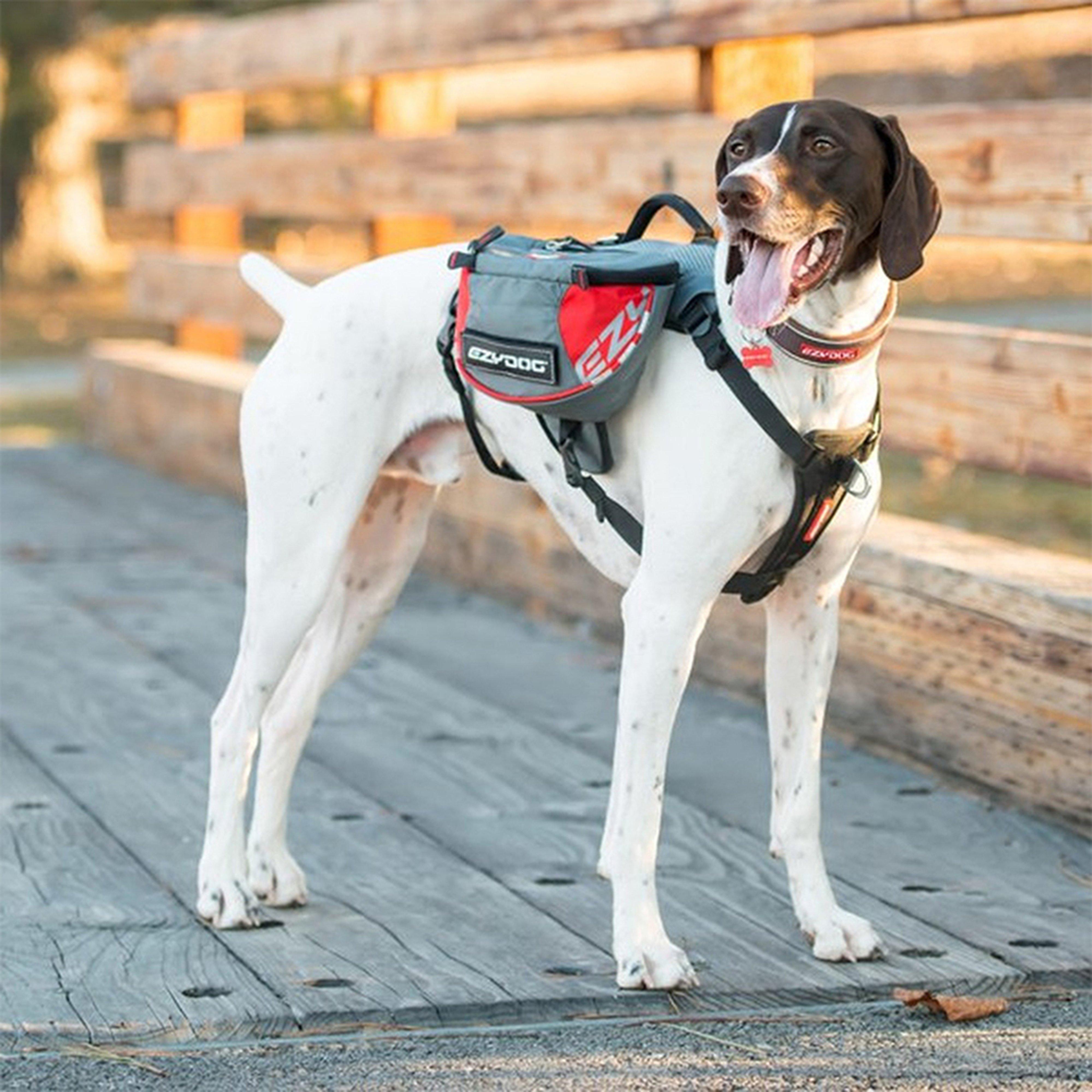 Summit Backpack (Large)