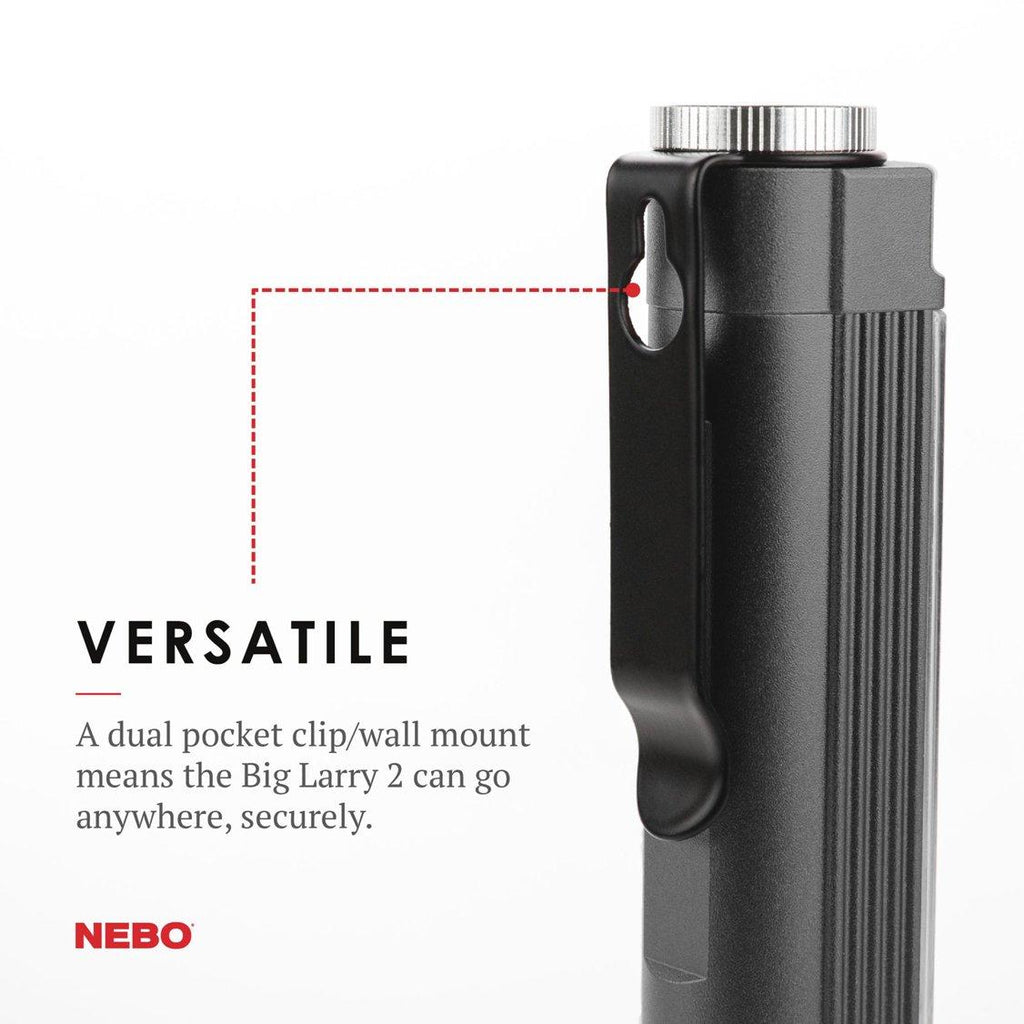 Big Larry 2 Torch