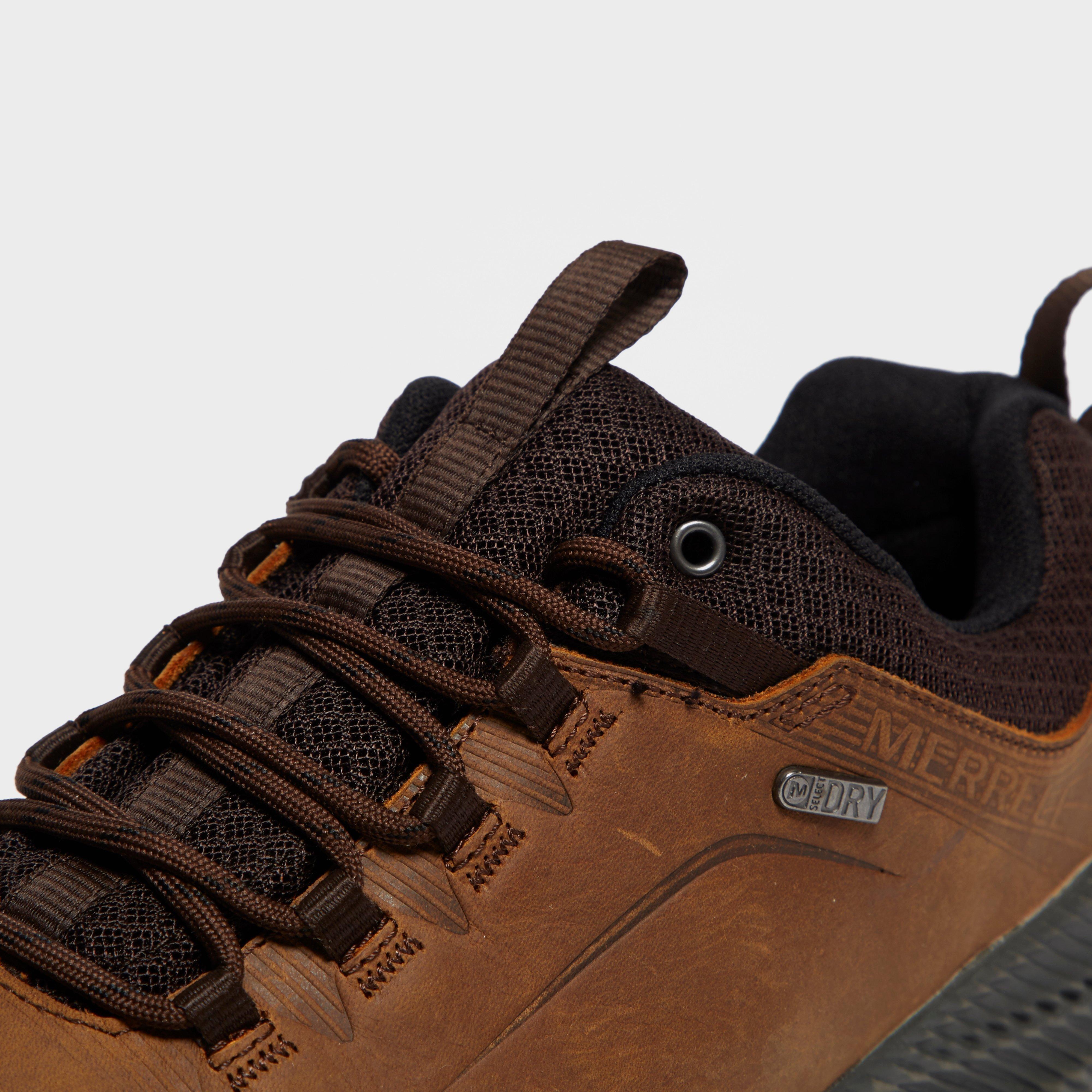 Men's Forestbound Walking Shoe