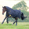 Tempest Original 100 Combo Turnout Rug