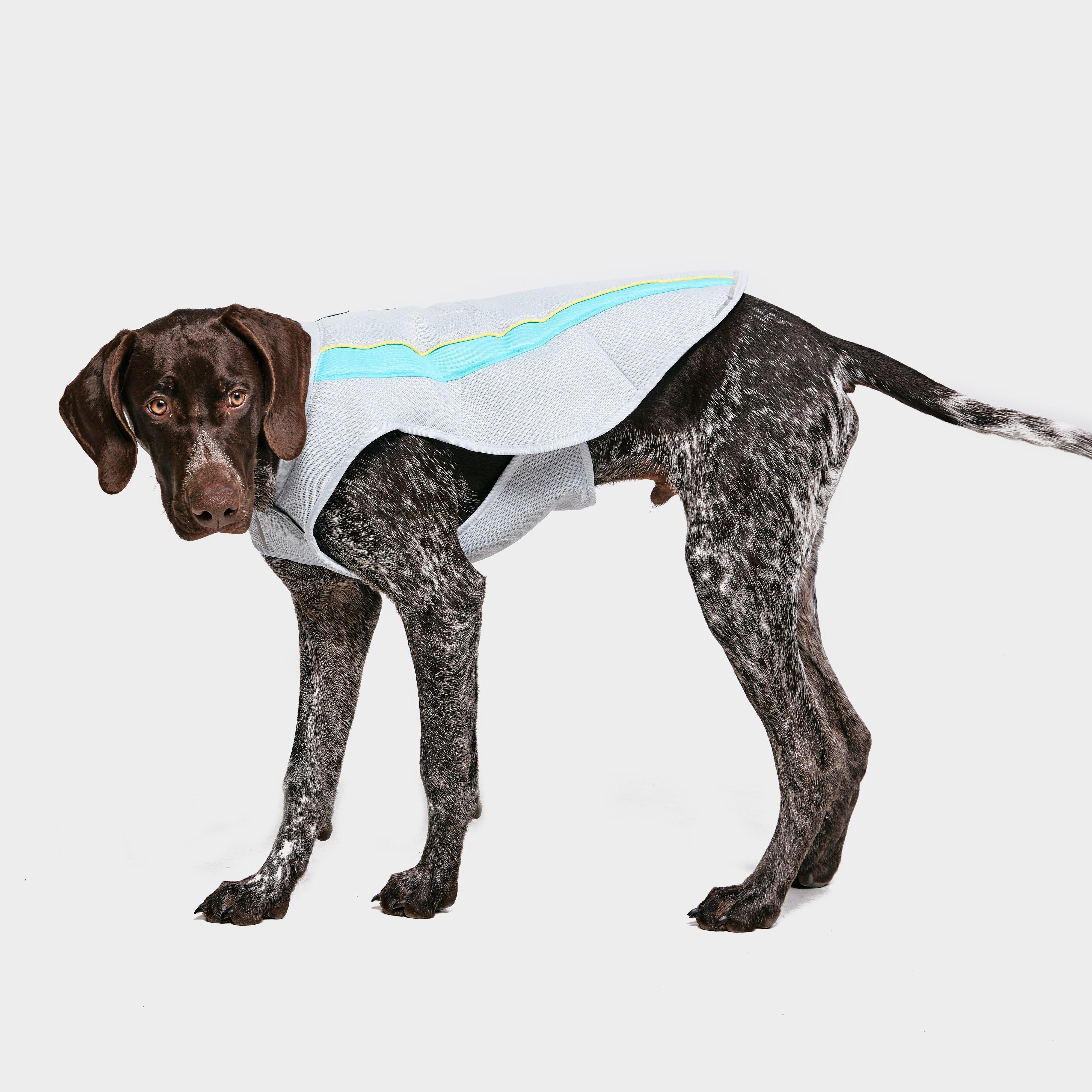 Swamp CoolerTM Vest