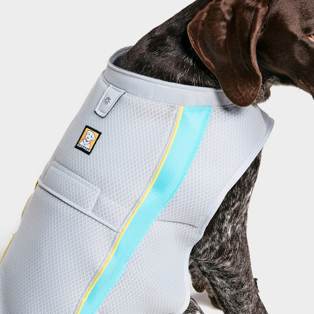 Swamp CoolerTM Vest