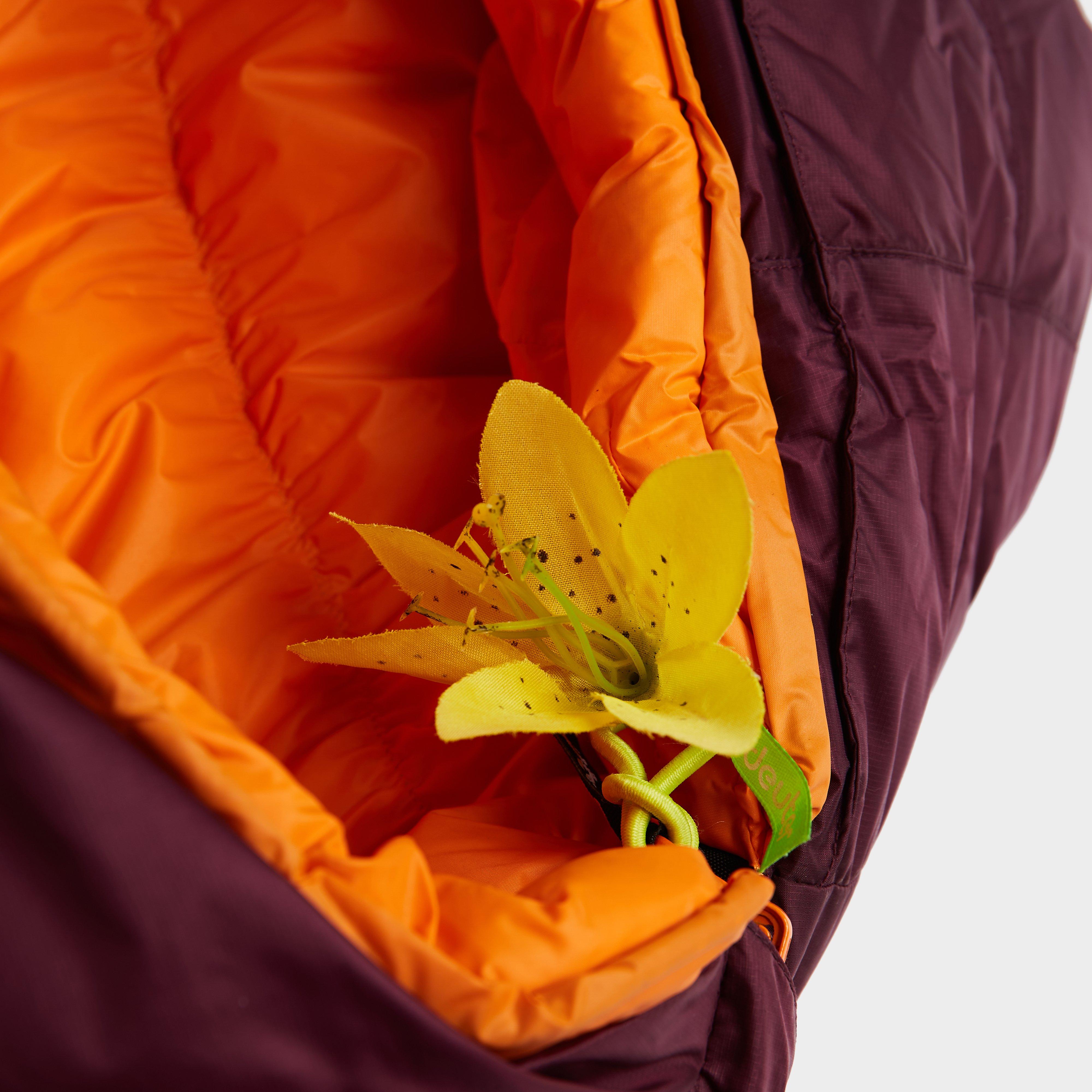 Astro Pro 600SL Sleeping Bag