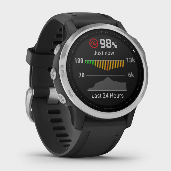 Fenix® 6S Multi-Sport GPS Watch