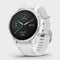 Fenix® 6S Multi-Sport GPS Watch