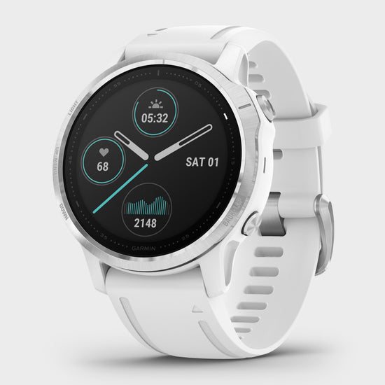 Fenix® 6S Multi-Sport GPS Watch