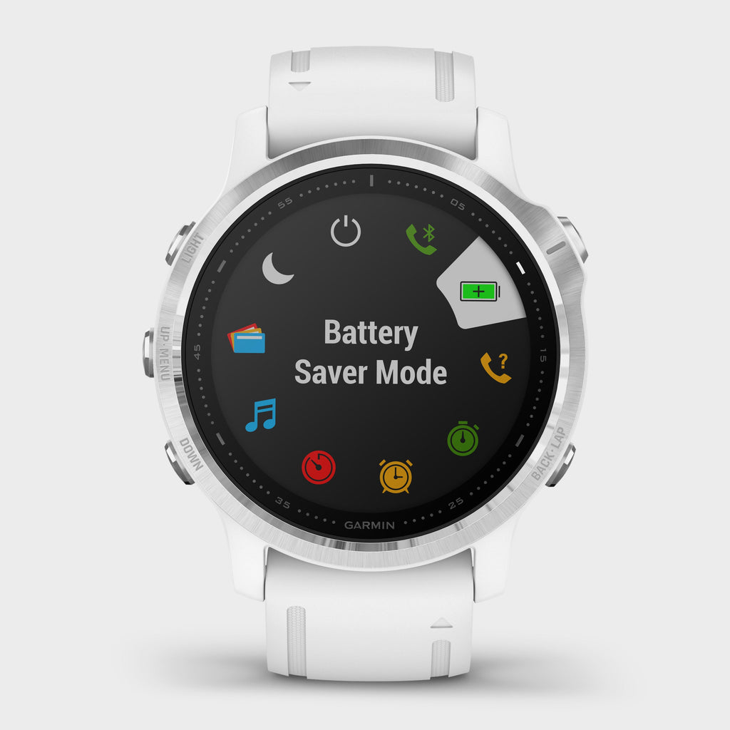 Fenix® 6S Multi-Sport GPS Watch