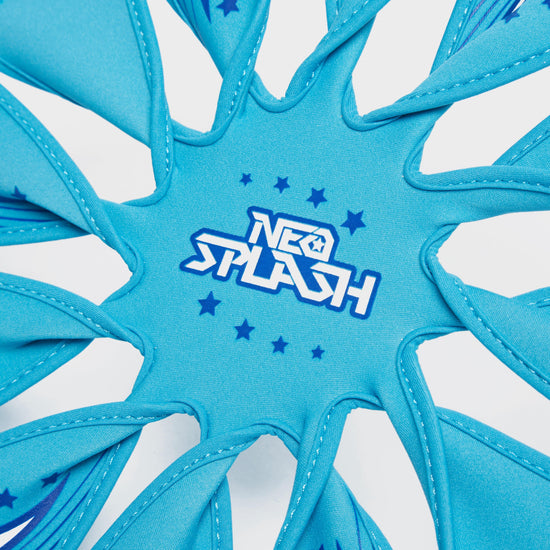 Flying Disk (12-inch)