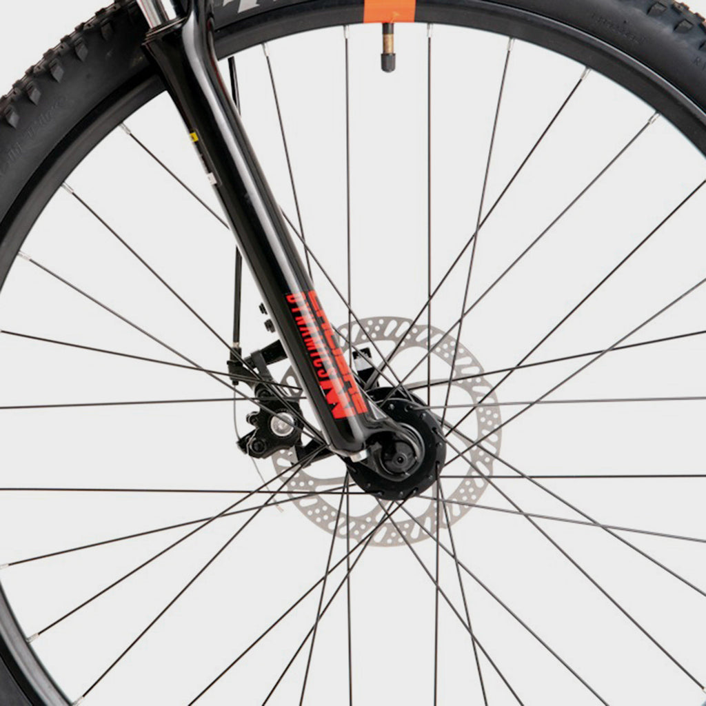 Rail Mountain Bike
