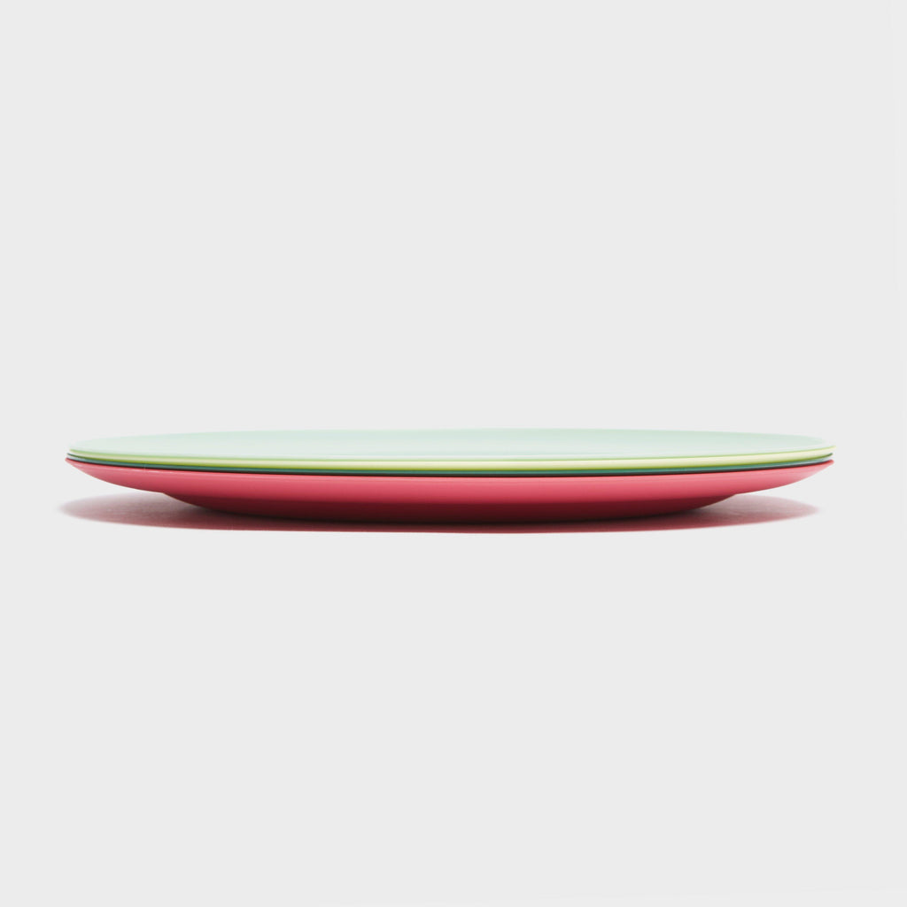 4 Piece Picnic Plate Set