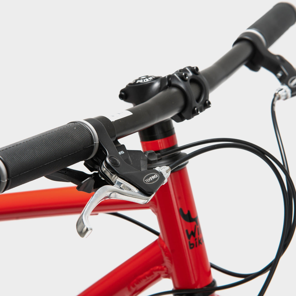 Kids' Wild 26 Bike