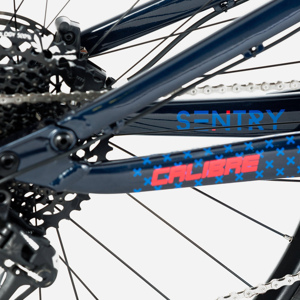 Sentry Pro Bike