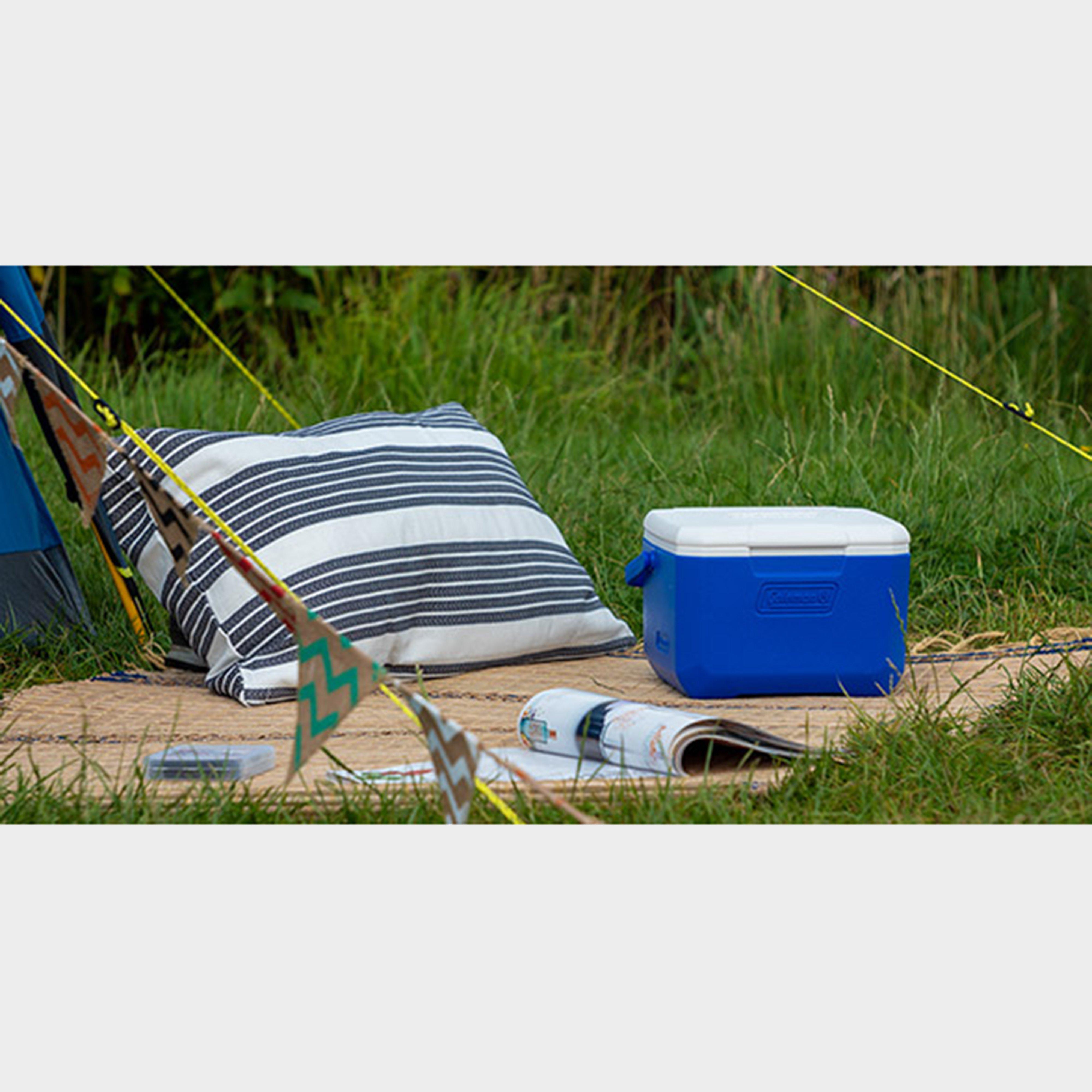 Performance 5QT Personal Cooler